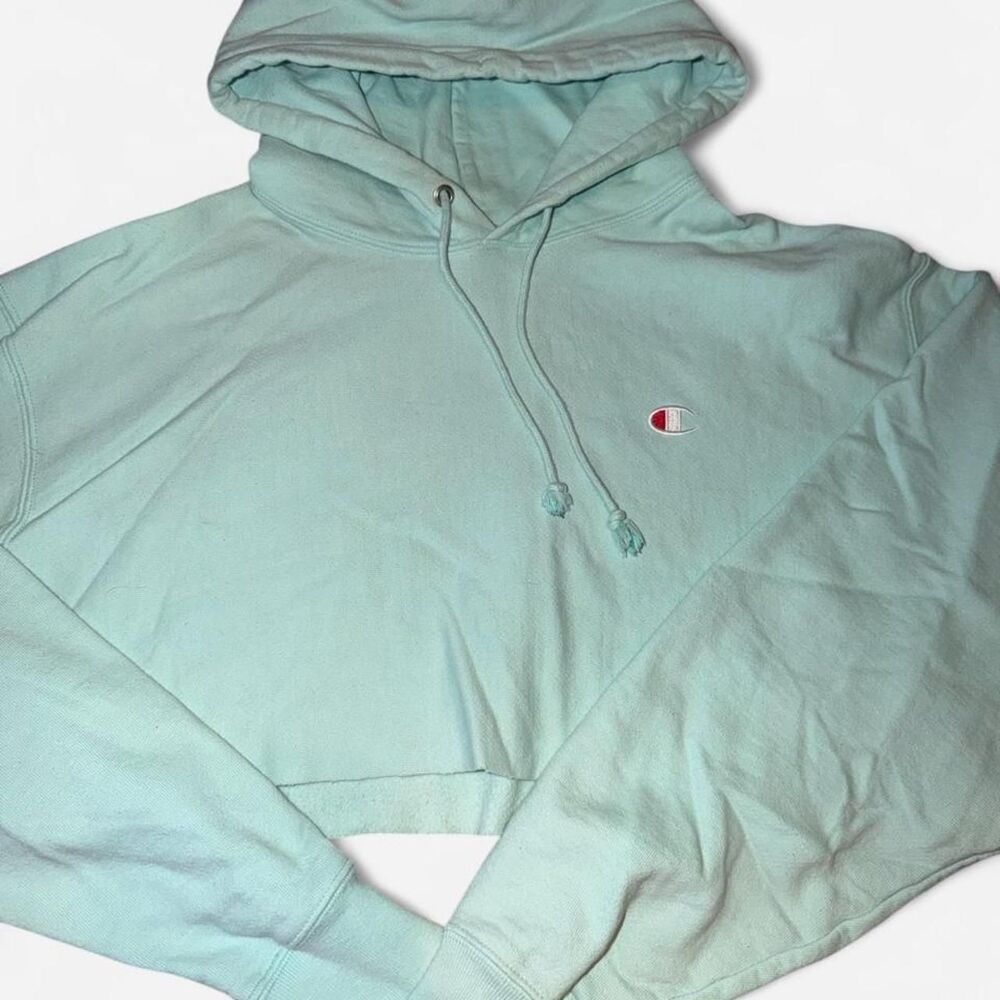 Champion Women's Blue and Green Hoodie